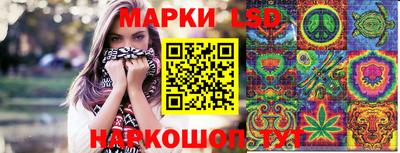гидропоника Пенза