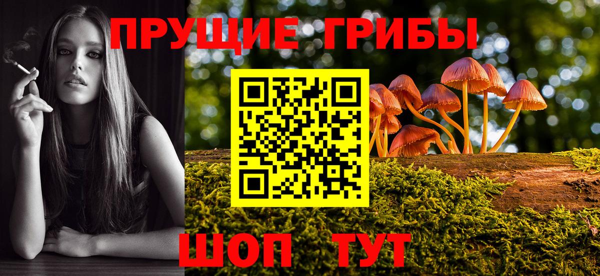 Ханты-Мансийск  Псилоцибиновые грибы прущие грибы  Вход с VPN  Галлюциногенные грибы Psilocybine cubensis 