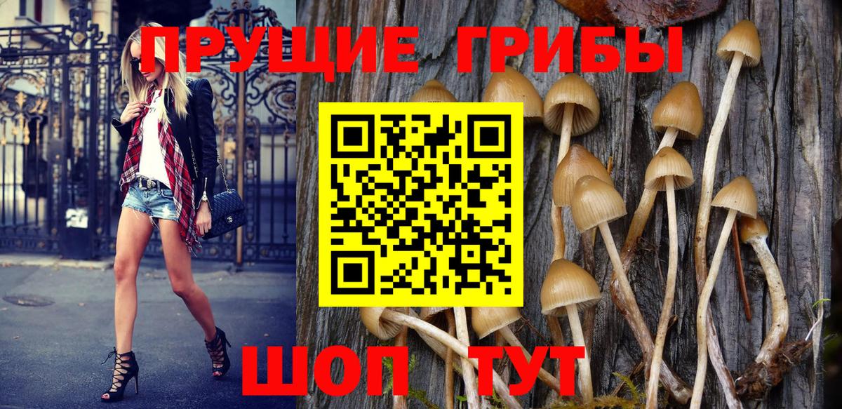 Псилоцибиновые грибы Cubensis Ханты-Мансийск